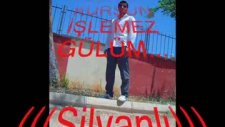 Selahattin Özdemir Bu Kadar Hiç Sevmedim