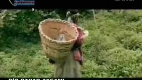 Hülya Polat - Yatma Yeşil çimene Hülya Polat - Yatma Yeşil çimene