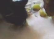 salatalık ve kavun yiyen tekir/ kızılcabölük