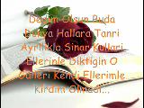 canimsin olmadi