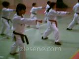 taekwondo