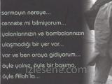 senaı demırcı-sen ve sonnn...