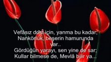 Mevla Bilir Ya