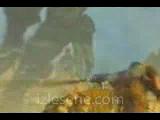 Pkk Catisma Helikopterden Ceklm Pkk Leler