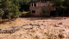 giresun dereli sel felaketi