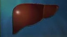 Hepatit Sarılık