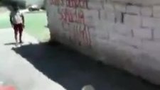 yapıştır mehmet ali !!m. ali dağıldı