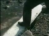 Ali Rıza Şentuna - Seninle Güzel Söylenmemiş Sözle