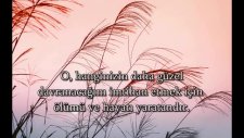 Dünyanın En Güzel Sesli Hafızı Mülk Suresi Dinle