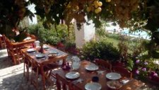 Gelemis Apart Hotel Patara Tanitim