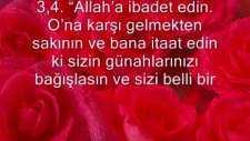 ebubekir şatıri nuh suresi