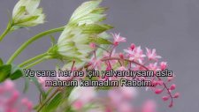 Hıristiyanlık nedir? izleyerek Öğrenin