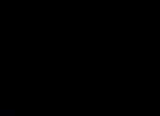 Flash Light Efect