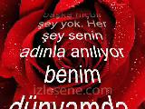 burcu