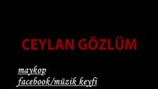 İşte İnternetin Yeni Feneomen Şarkısı