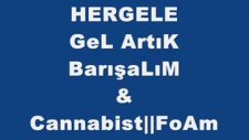 Cannabist Foam