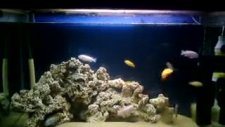 malawi tank 360 litre...