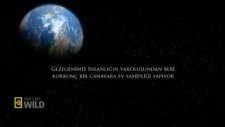 şahin k son filmi fıragmanı günah keçisi