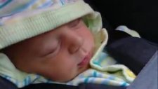 Deniz Bebek - Eve Varis