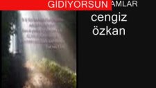 Cengiz Özkan Oy Akşamlar (Şiirli)