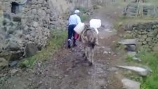 Ağamettin Çelik