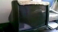 Tanıtım