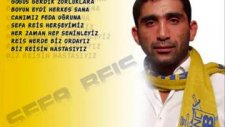 sefa reis