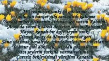 Şair Semih Yalçın’dan(Hüzün Çiçeği)