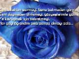 Aynur Doğan Yoluna Yoldaş Olam