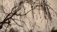 İlkay Akkaya -- Bir Of Çeksem Video Klip