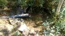 Serinyayla Kör Kuyu