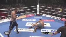 badr hari w-2