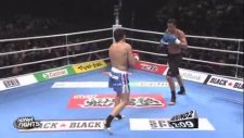 badr hari w-4