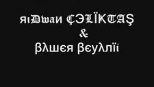 baver beyani