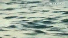 fatmagül'ün suçu ne - gel gel kayıkçı şarkısı