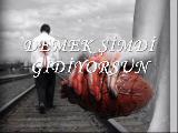 demek sımdı gıdıyorsun