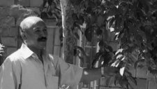 Aşık Mustafa Sayılır Ağ Gelin