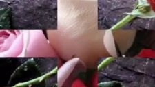 Biri Olmalı