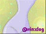 winx club