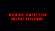 bu şarkıyı hiç bu açıdan dinledinizmi