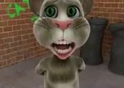 Tom-Kedi-Türkü-Dam Üstüne Cul Sere