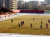 Vanspor