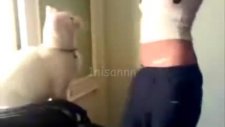 seksi nilay'ın kedi ile dansı tık rekoru kırıyor!!