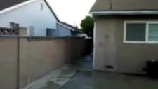 havuz atlayışı kötü bitti