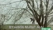 Ferdi Tayfur-Ya Benimsin Ya Toprağın(Filimden)