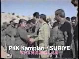 Ccc Bu Hesap Sorulacak Apo Denen Köpekten