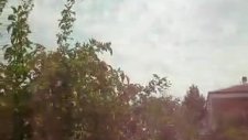 gök dişi