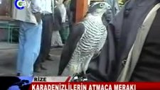 atmaca merakı