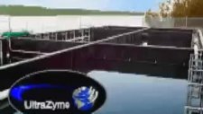 ultrazyme biyolojik arıtma bakterileri ve endüstri