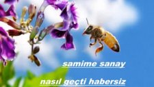Samime Sanay - Nasıl Geçti Habersiz